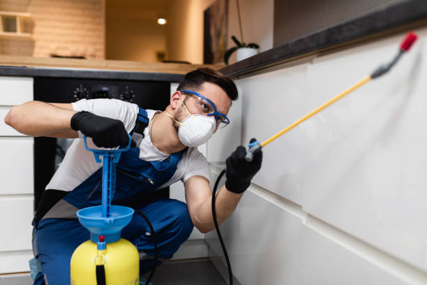 Pest Control for Restaurants in Sibley, LA