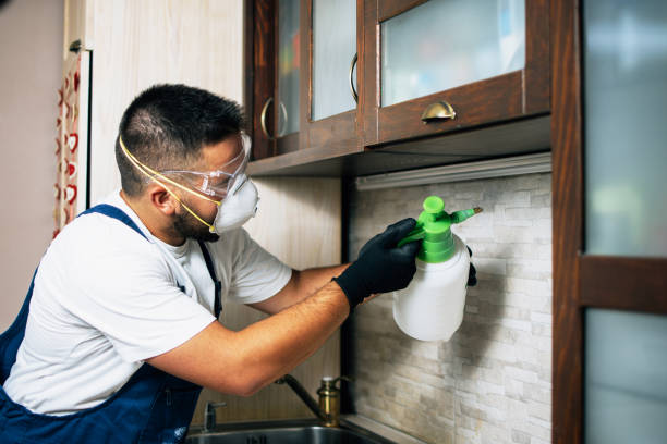 Best Cockroach Control Services  in Sibley, LA