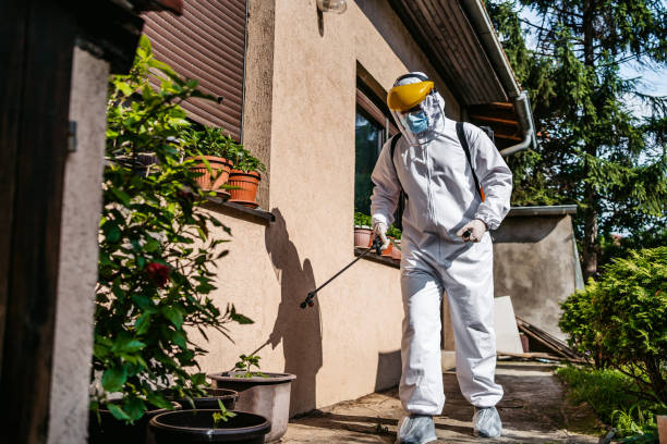 Best Affordable Exterminators  in Sibley, LA