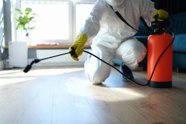Best Affordable Pest Control Services  in Sibley, LA