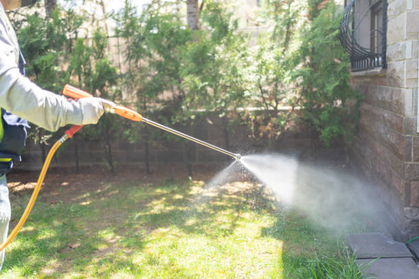 Bird Control in Sibley, LA
