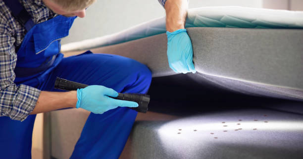 Best Best Pest Control Companies  in Sibley, LA