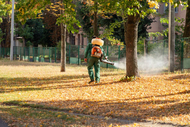 Best Rodent Control Near Me  in Sibley, LA