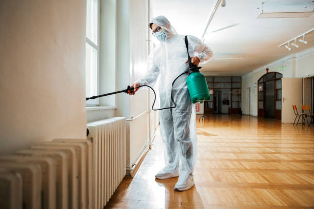 Flea Control Services in Sibley, LA