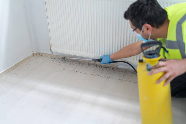 Best Emergency Pest Control  in Sibley, LA