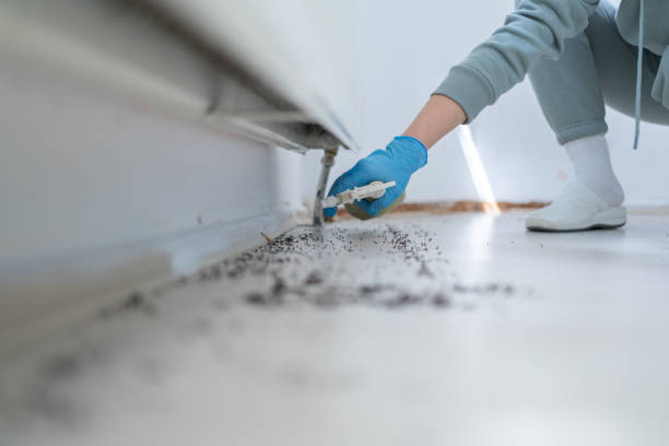 Best Bed Bug Extermination  in Sibley, LA