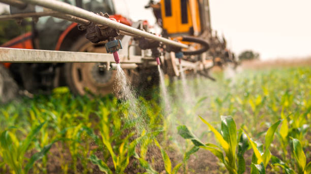 Best Pest Control for Homes  in Sibley, LA